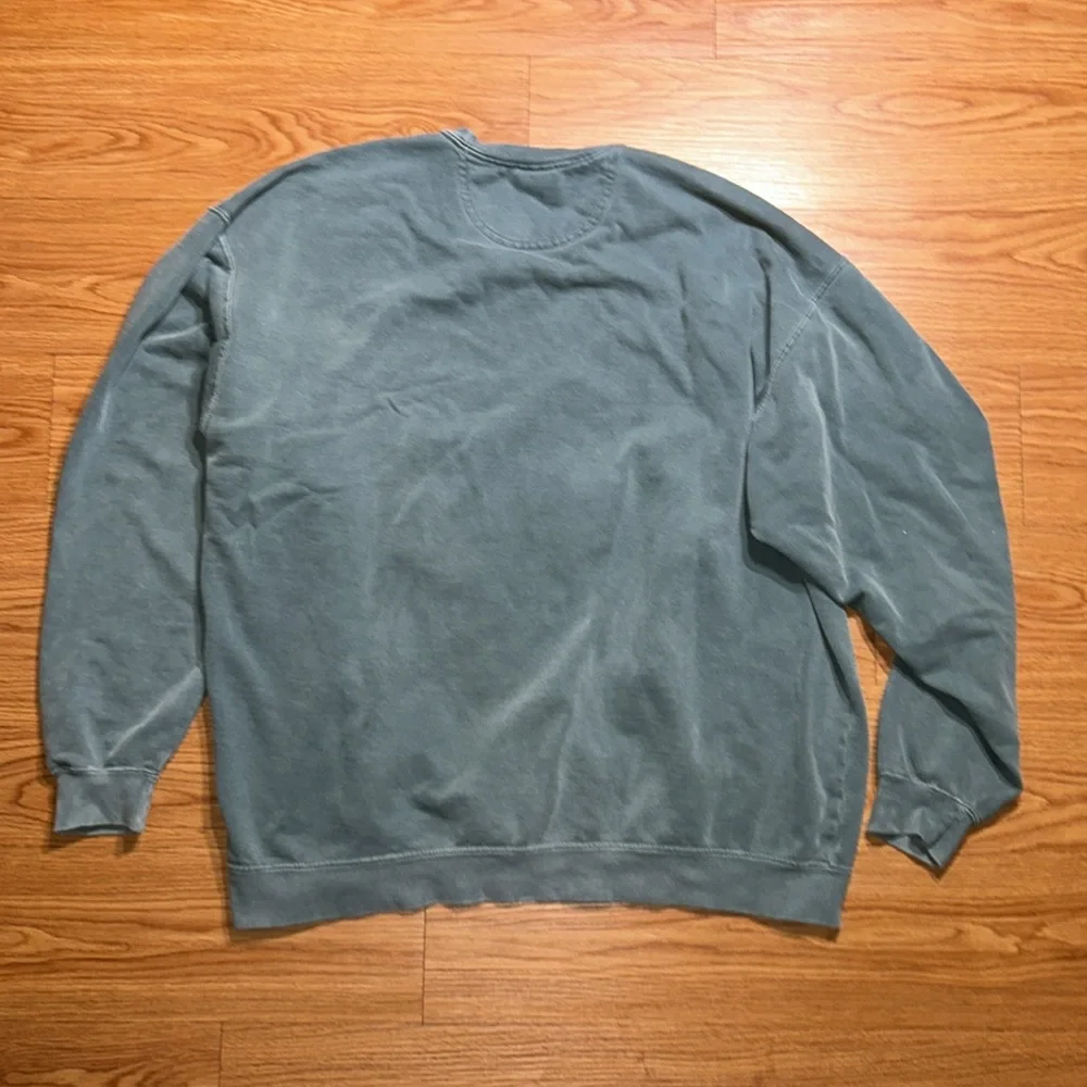 Comfort Colors Green Crewneck Sweater with Graphic Print